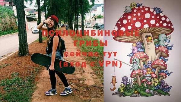 мяу мяу мука Армянск