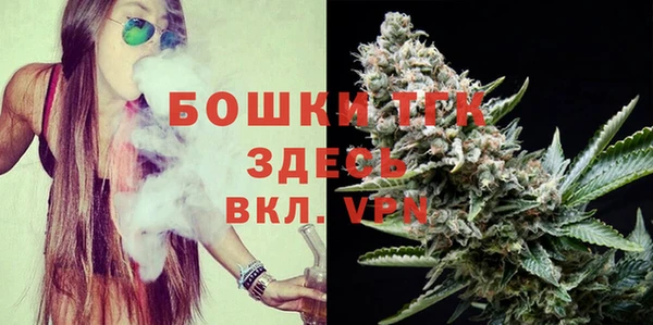прущая мука Арсеньев