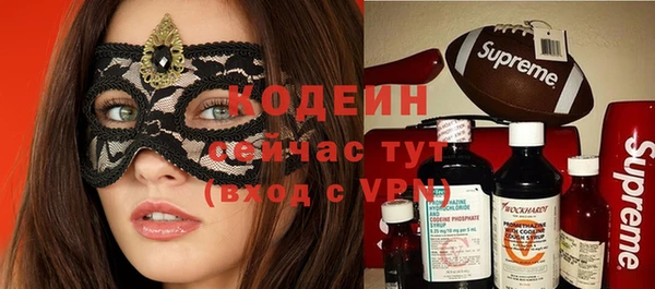 твердый Аркадак