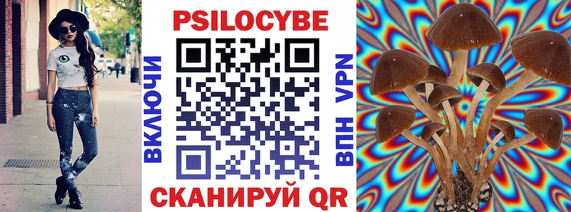 Псилоцибиновые грибы мицелий Снежногорск